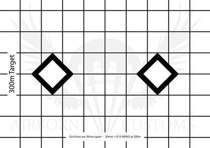 2 Target – MRAD-Airborne Customs